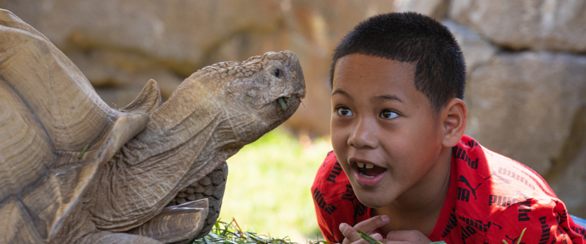 Edward munches on food next to a young visitor